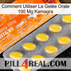 Comment Utiliser La Gelée Orale 100 Mg Kamagra new05